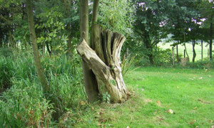levensinspiratie openheid genieten natuur